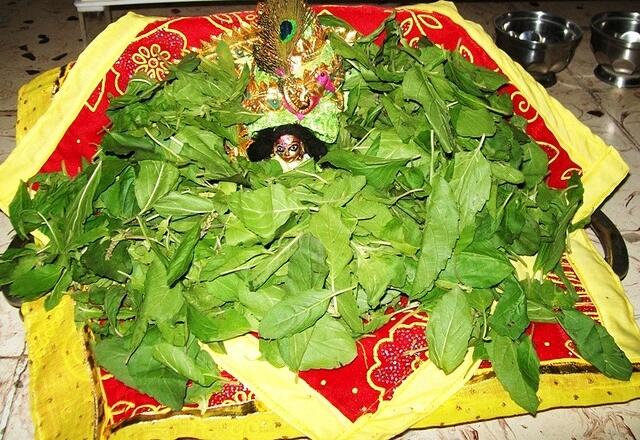 purushottam10 026